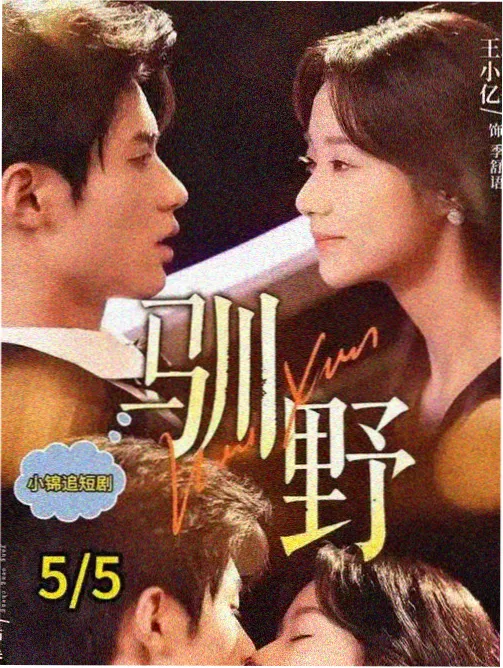韩剧《春夜诊疗所》在线看封面